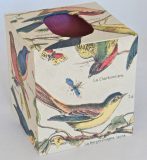 Tissue Box Cover with French Birds Paper
