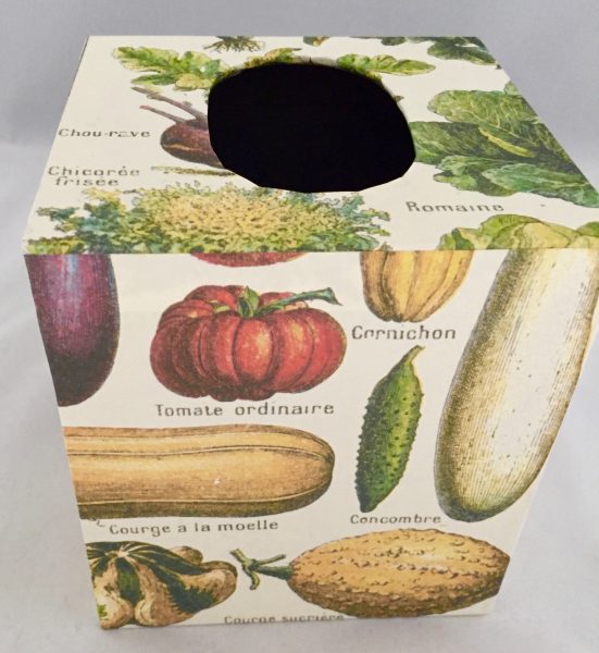 Tissue Box Cover with Le Jardin paper