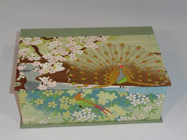 Two Compartment Box with Peacock Paper