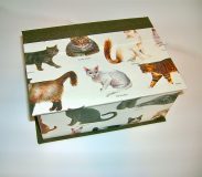 Square Box with Cat Breeds Paper