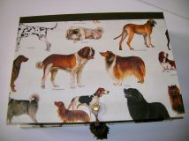 Rectangular Box with Dog Breeds paper