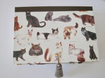 Rectangular Box with Cat Breeds paper
