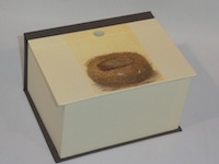 Deep Square with Egg & Nest themed paper
