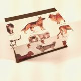 Square Box with Dog Breeds Paper