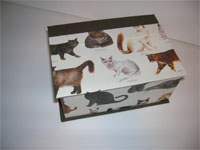 Square Box with Cat Breeds Paper