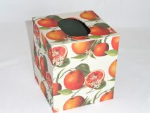 Tissue Box Cover with Botanical Oranges paper