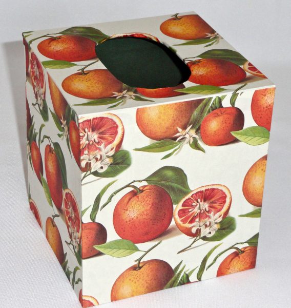 Tissue Box Cover with Botanical Oranges paper