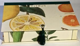 Rectangular Box with Citrus Fruits paper